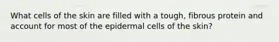 What cells of the skin are filled with a tough, fibrous protein and account for most of the epidermal cells of the skin?