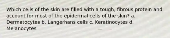 Which cells of the skin are filled with a tough, fibrous protein and account for most of the epidermal cells of the skin? a. Dermatocytes b. Langerhans cells c. Keratinocytes d. Melanocytes