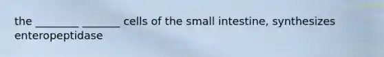 the ________ _______ cells of <a href='https://www.questionai.com/knowledge/kt623fh5xn-the-small-intestine' class='anchor-knowledge'>the small intestine</a>, synthesizes enteropeptidase