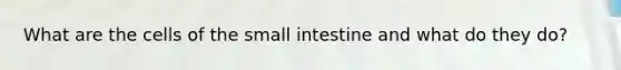 What are the cells of the small intestine and what do they do?