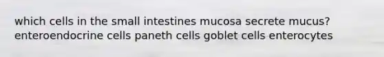 which cells in <a href='https://www.questionai.com/knowledge/kt623fh5xn-the-small-intestine' class='anchor-knowledge'>the small intestine</a>s mucosa secrete mucus? enteroendocrine cells paneth cells goblet cells enterocytes