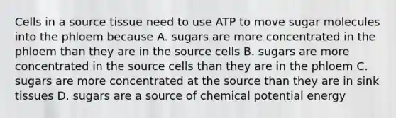 Cells in a source tissue need to use ATP to move sugar molecules into the phloem because A. sugars are more concentrated in the phloem than they are in the source cells B. sugars are more concentrated in the source cells than they are in the phloem C. sugars are more concentrated at the source than they are in sink tissues D. sugars are a source of chemical potential energy