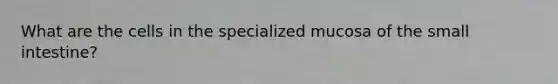 What are the cells in the specialized mucosa of the small intestine?