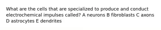 What are the cells that are specialized to produce and conduct electrochemical impulses called? A neurons B fibroblasts C axons D astrocytes E dendrites