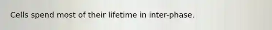 Cells spend most of their lifetime in inter-phase.