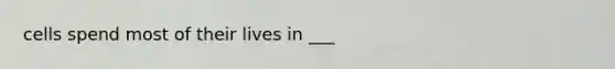 cells spend most of their lives in ___