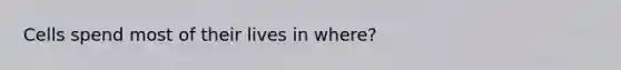 Cells spend most of their lives in where?