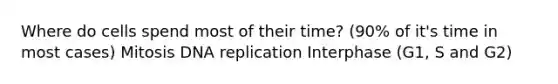 Where do cells spend most of their time? (90% of it's time in most cases) Mitosis <a href='https://www.questionai.com/knowledge/kofV2VQU2J-dna-replication' class='anchor-knowledge'>dna replication</a> Interphase (G1, S and G2)