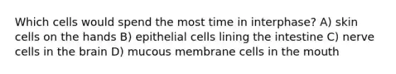 Which cells would spend the most time in interphase? A) skin cells on the hands B) epithelial cells lining the intestine C) nerve cells in the brain D) mucous membrane cells in the mouth