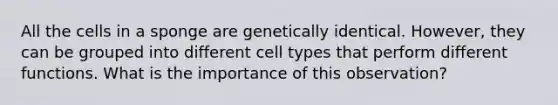 All the cells in a sponge are genetically identical. However, they can be grouped into different cell types that perform different functions. What is the importance of this observation?