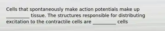 Cells that spontaneously make action potentials make up __________ tissue. The structures responsible for distributing excitation to the contractile cells are __________ cells