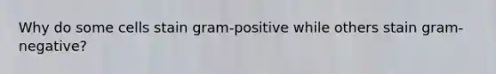 Why do some cells stain gram-positive while others stain gram-negative?