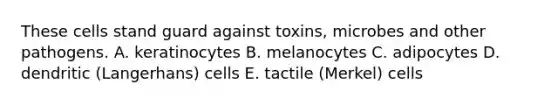 These cells stand guard against toxins, microbes and other pathogens. A. keratinocytes B. melanocytes C. adipocytes D. dendritic (Langerhans) cells E. tactile (Merkel) cells