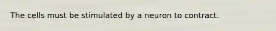 The cells must be stimulated by a neuron to contract.