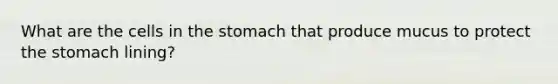 What are the cells in the stomach that produce mucus to protect the stomach lining?