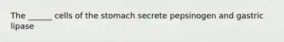 The ______ cells of the stomach secrete pepsinogen and gastric lipase