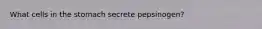 What cells in the stomach secrete pepsinogen?