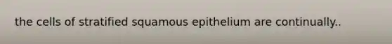 the cells of stratified squamous epithelium are continually..