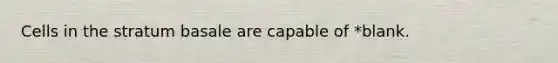 Cells in the stratum basale are capable of *blank.