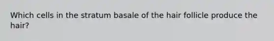 Which cells in the stratum basale of the hair follicle produce the hair?