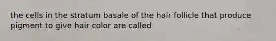 the cells in the stratum basale of the hair follicle that produce pigment to give hair color are called