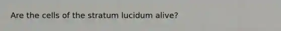 Are the cells of the stratum lucidum alive?