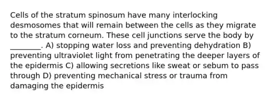 Cells of the stratum spinosum have many interlocking desmosomes that will remain between the cells as they migrate to the stratum corneum. These cell junctions serve the body by ________. A) stopping water loss and preventing dehydration B) preventing ultraviolet light from penetrating the deeper layers of the epidermis C) allowing secretions like sweat or sebum to pass through D) preventing mechanical stress or trauma from damaging the epidermis