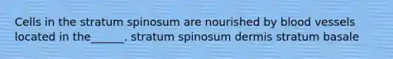 Cells in the stratum spinosum are nourished by blood vessels located in the______. stratum spinosum dermis stratum basale