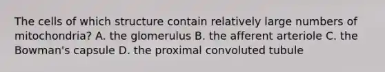 The cells of which structure contain relatively large numbers of mitochondria? A. the glomerulus B. the afferent arteriole C. the Bowman's capsule D. the proximal convoluted tubule