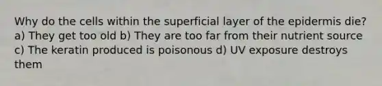 Why do the cells within the superficial layer of the epidermis die? a) They get too old b) They are too far from their nutrient source c) The keratin produced is poisonous d) UV exposure destroys them