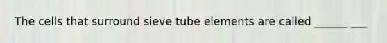 The cells that surround sieve tube elements are called ______ ___