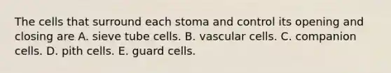 The cells that surround each stoma and control its opening and closing are A. sieve tube cells. B. vascular cells. C. companion cells. D. pith cells. E. guard cells.