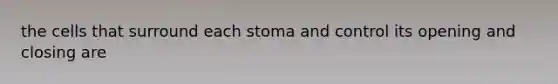 the cells that surround each stoma and control its opening and closing are