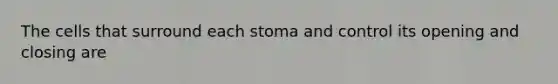 The cells that surround each stoma and control its opening and closing are