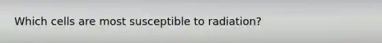 Which cells are most susceptible to radiation?