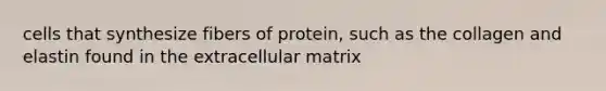 cells that synthesize fibers of protein, such as the collagen and elastin found in the extracellular matrix