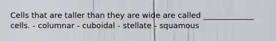 Cells that are taller than they are wide are called _____________ cells. - columnar - cuboidal - stellate - squamous