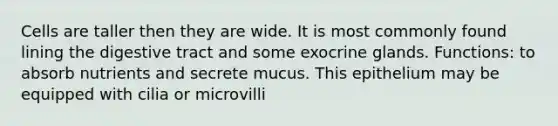 Cells are taller then they are wide. It is most commonly found lining the digestive tract and some exocrine glands. Functions: to absorb nutrients and secrete mucus. This epithelium may be equipped with cilia or microvilli