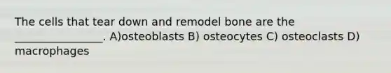 The cells that tear down and remodel bone are the ________________. A)osteoblasts B) osteocytes C) osteoclasts D) macrophages