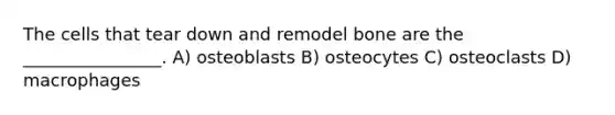 The cells that tear down and remodel bone are the ________________. A) osteoblasts B) osteocytes C) osteoclasts D) macrophages