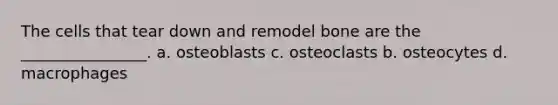 The cells that tear down and remodel bone are the ________________. a. osteoblasts c. osteoclasts b. osteocytes d. macrophages