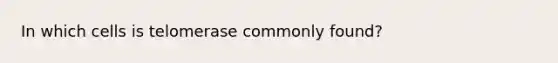 In which cells is telomerase commonly found?