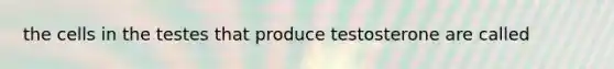 the cells in the testes that produce testosterone are called