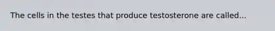 The cells in the testes that produce testosterone are called...