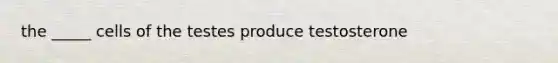 the _____ cells of the testes produce testosterone