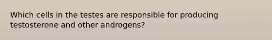 Which cells in the testes are responsible for producing testosterone and other androgens?