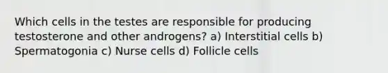 Which cells in the testes are responsible for producing testosterone and other androgens? a) Interstitial cells b) Spermatogonia c) Nurse cells d) Follicle cells