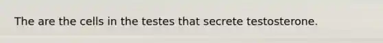 The are the cells in the testes that secrete testosterone.