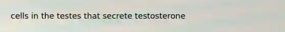 cells in the testes that secrete testosterone