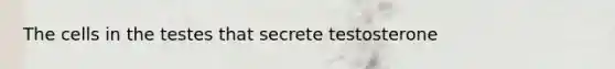 The cells in the testes that secrete testosterone